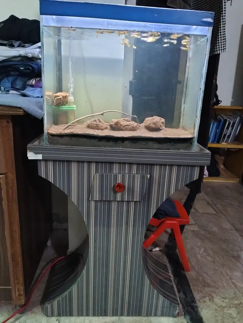 Aquarium for sale — photo 4