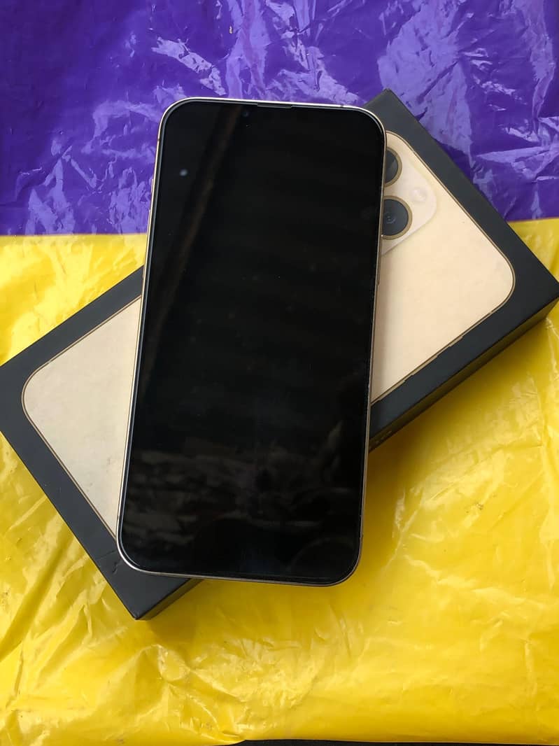 Apple iPhone 13 Pro Max 1