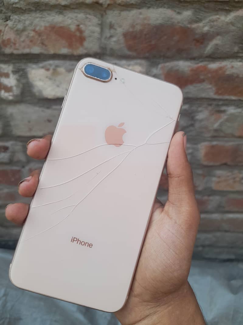 Apple iPhone 8 Plus price Adjust hoja gi no problem 0