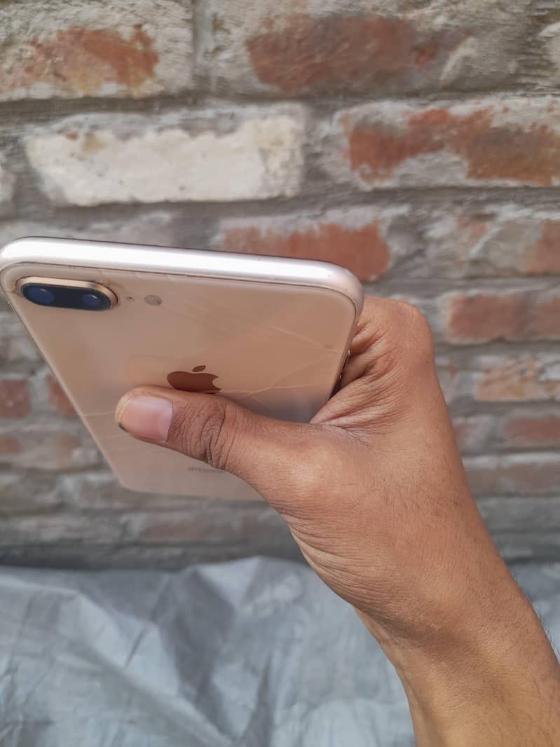 Apple iPhone 8 Plus price Adjust hoja gi no problem 2