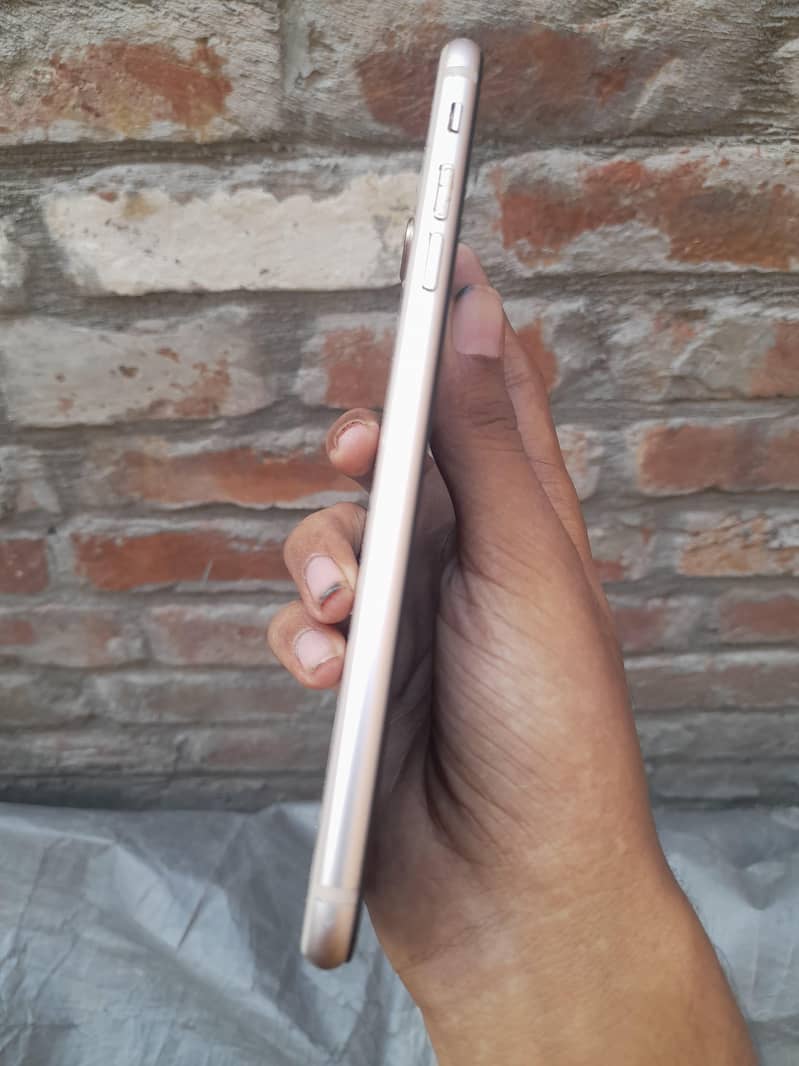 Apple iPhone 8 Plus price Adjust hoja gi no problem 4