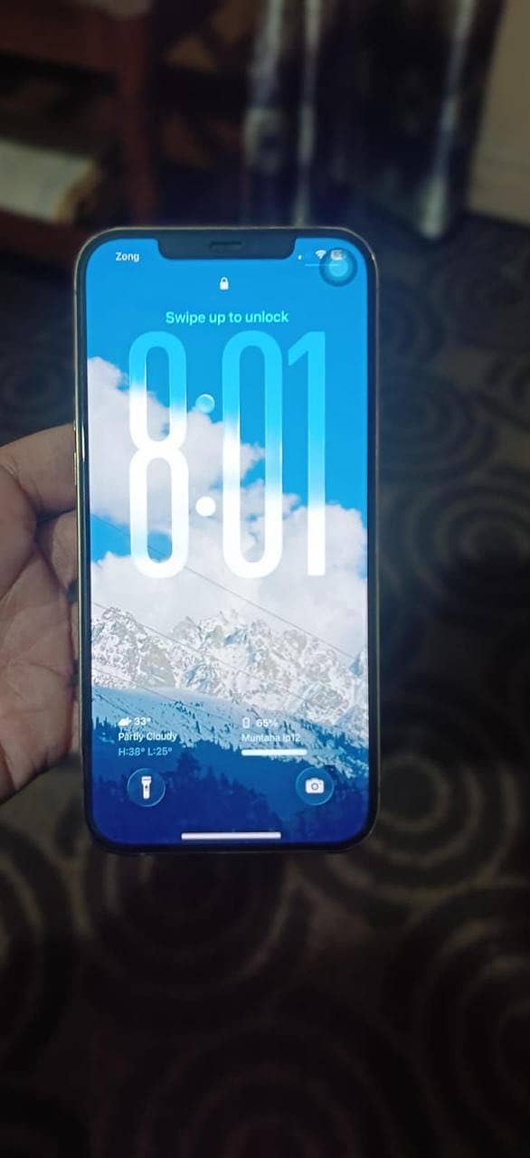 Apple iPhone 12 Pro Max 2