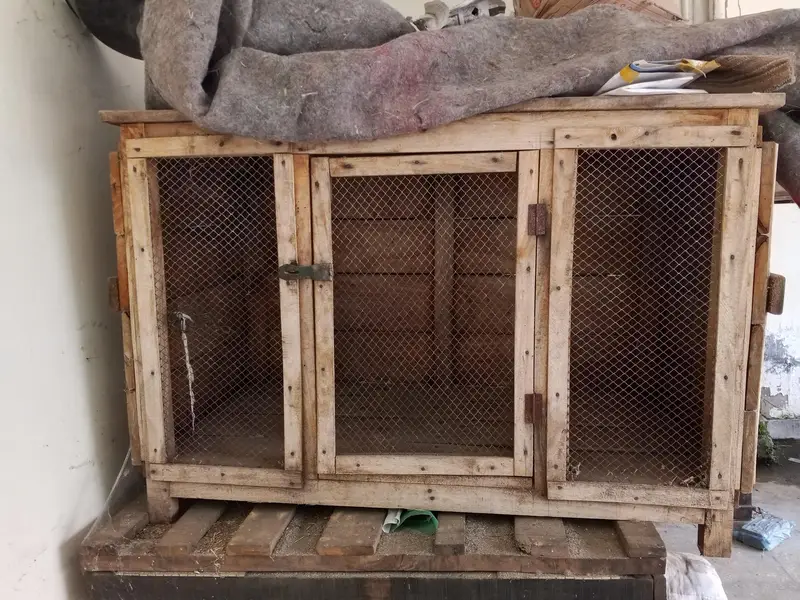 Cage (Birds, hens, dog, rabbit)