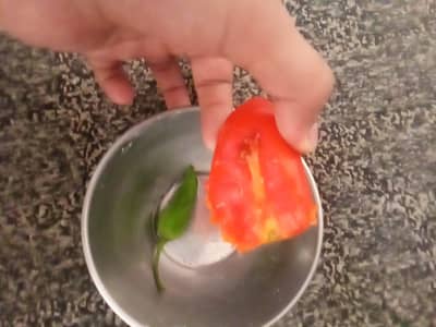 lam selling parrot