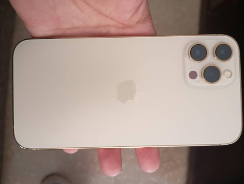 Apple iPhone 12 1