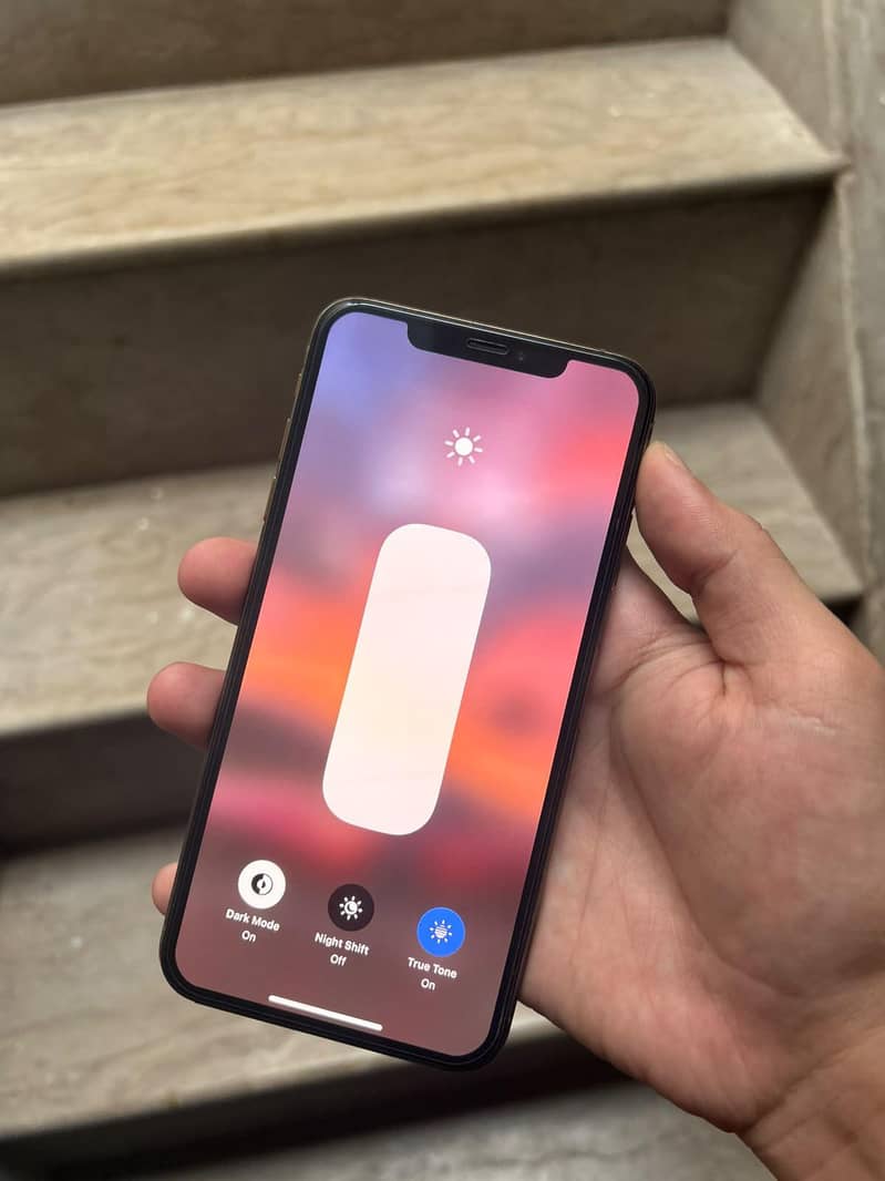 Apple iPhone XS Max 4