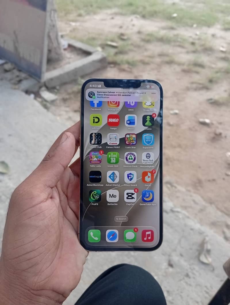 Apple iPhone 12 Pro Max 1