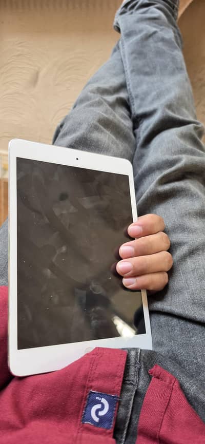 iPad mini