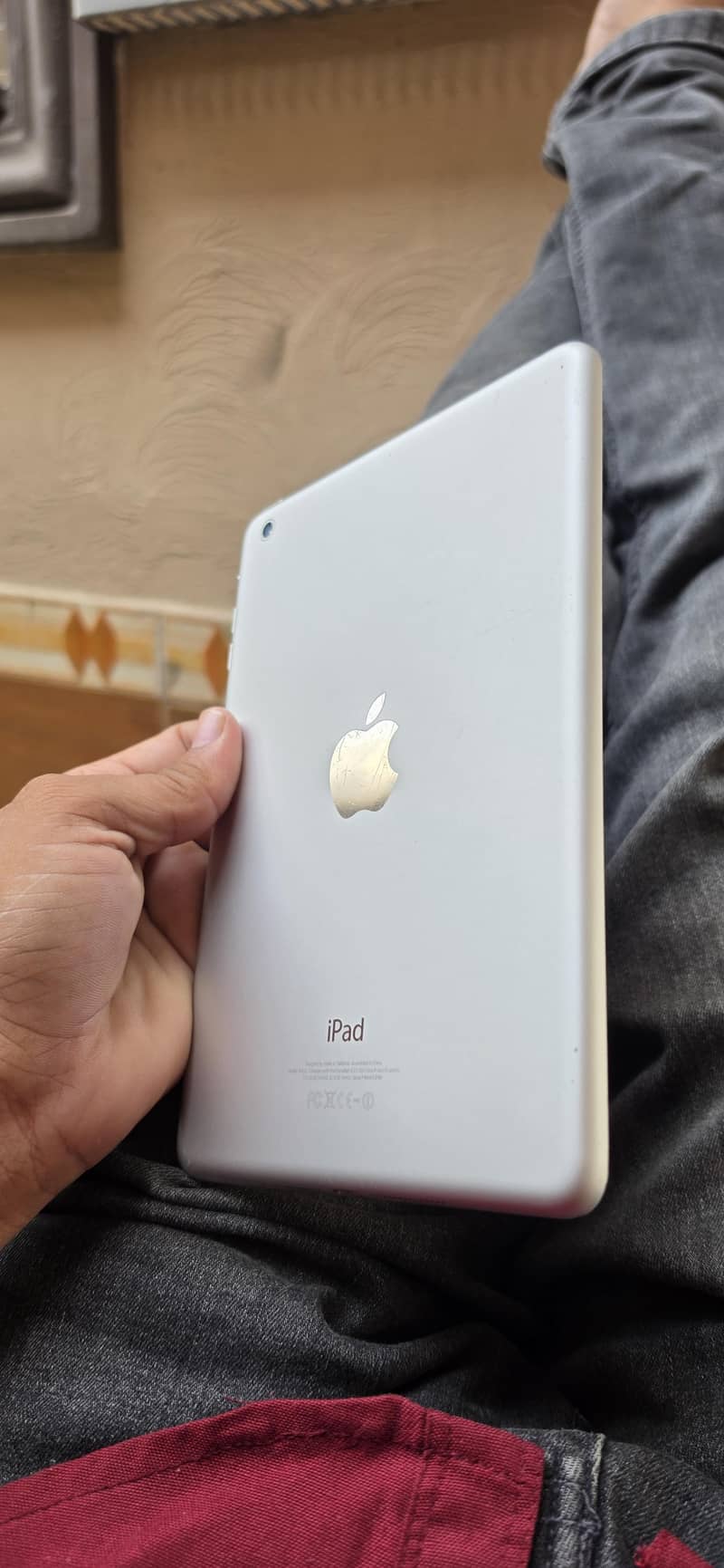 iPad mini 1