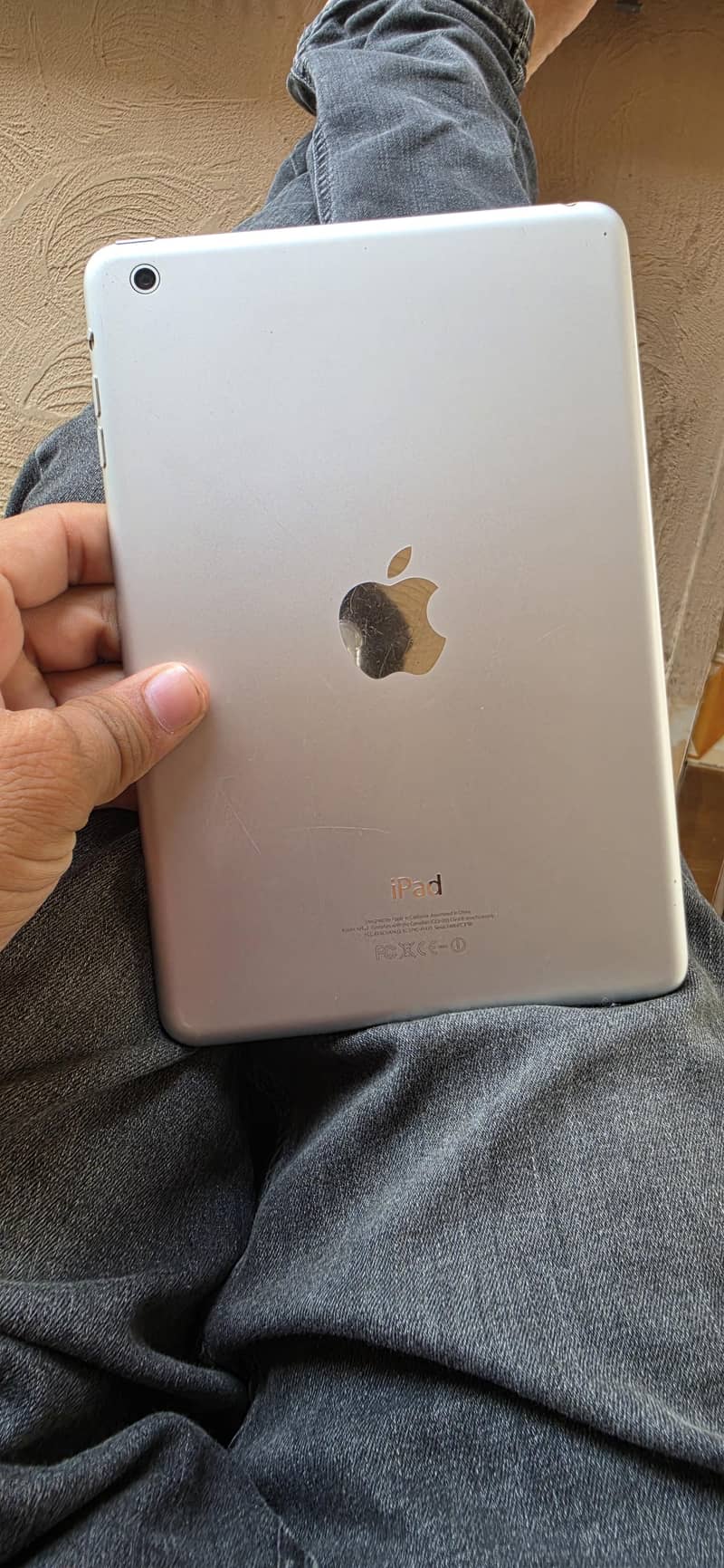 iPad mini 2