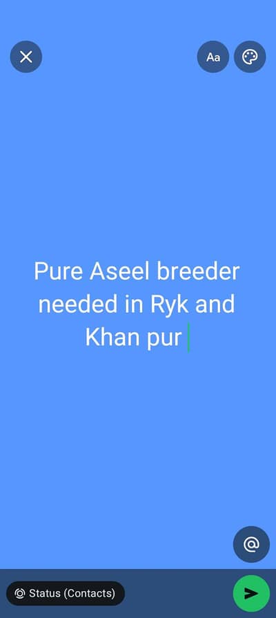 Aseel male breeder needed