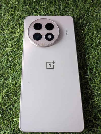 One Plus 13R