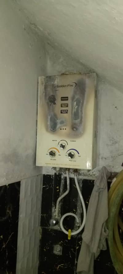 standard geyser for sale