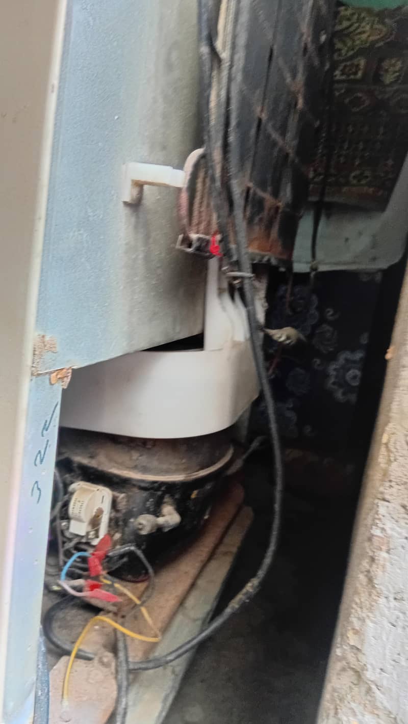 refrigertor 4