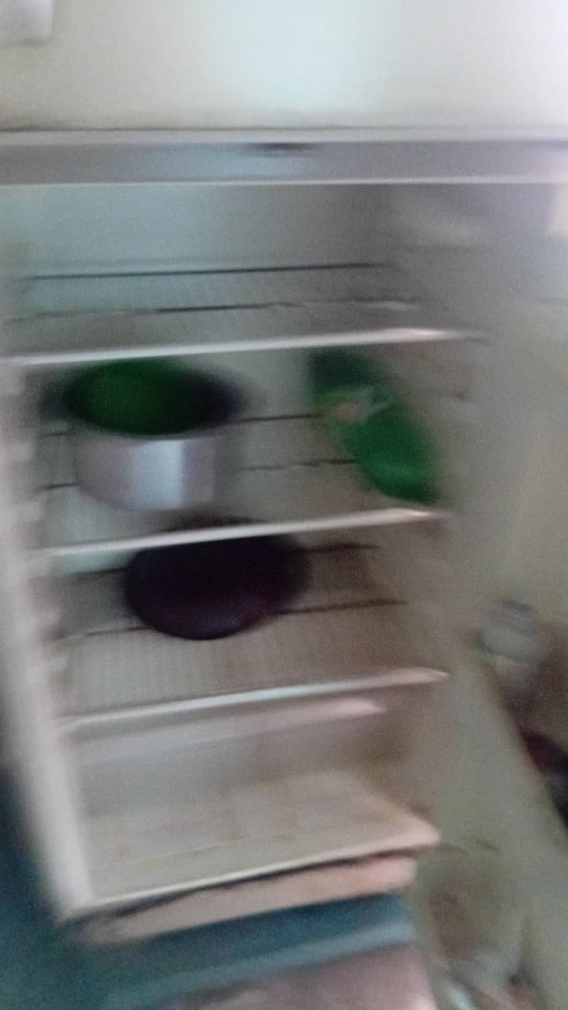 refrigertor 5