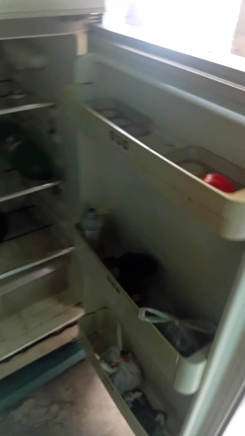 refrigertor 6