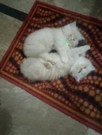 for sale
