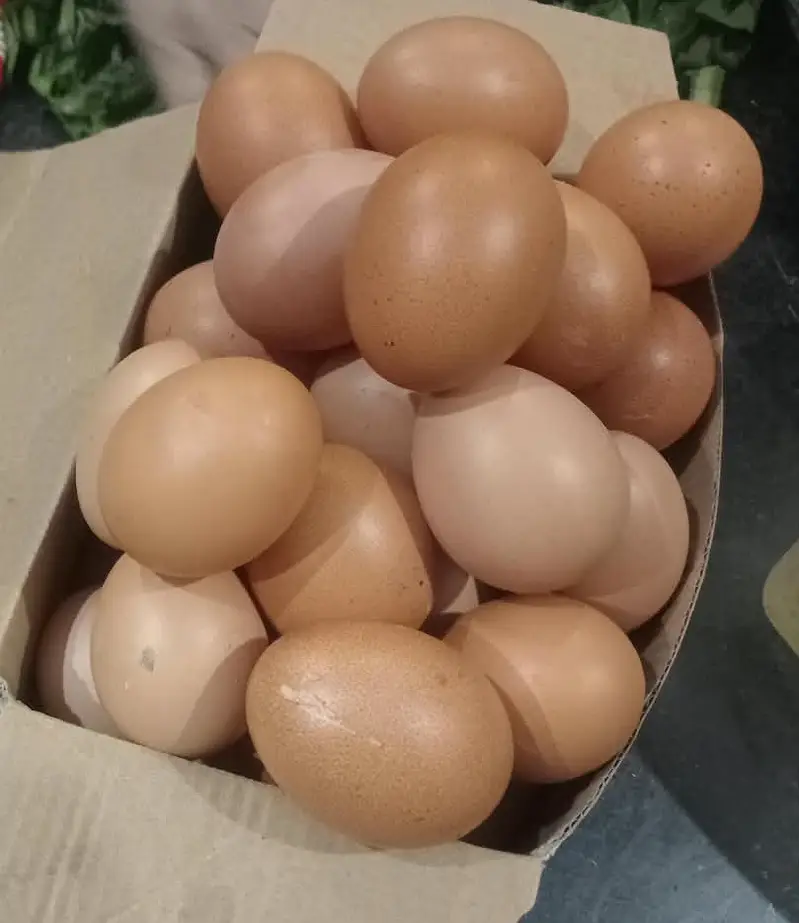 Fresh Home-Raised Desi Aseel Eggs for Sale – Karachi