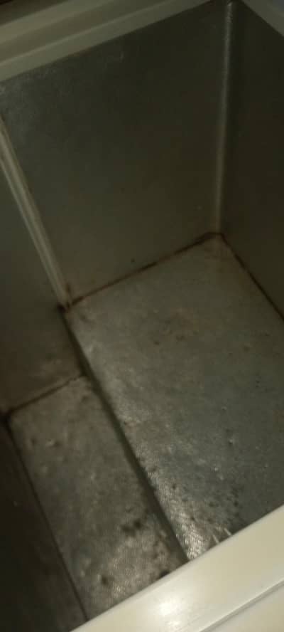 freezer