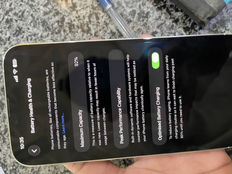 Apple iPhone 13 Pro Max 1