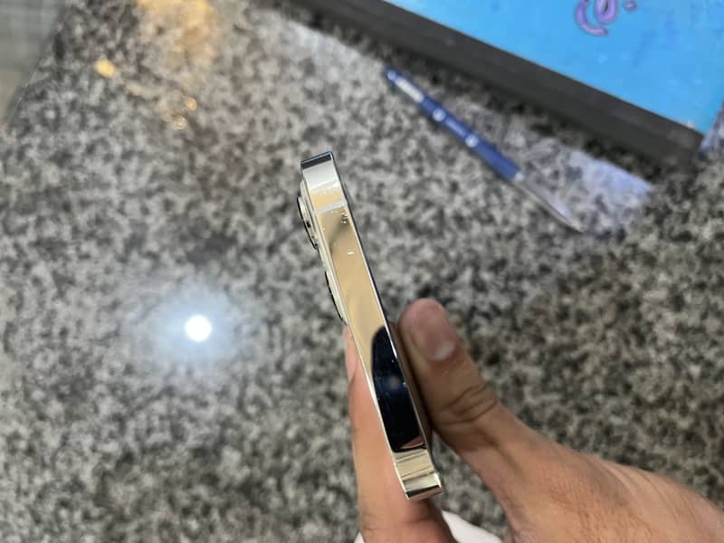 Apple iPhone 13 Pro Max 3