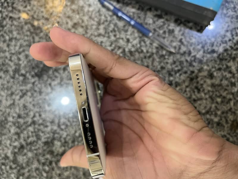 Apple iPhone 13 Pro Max 6