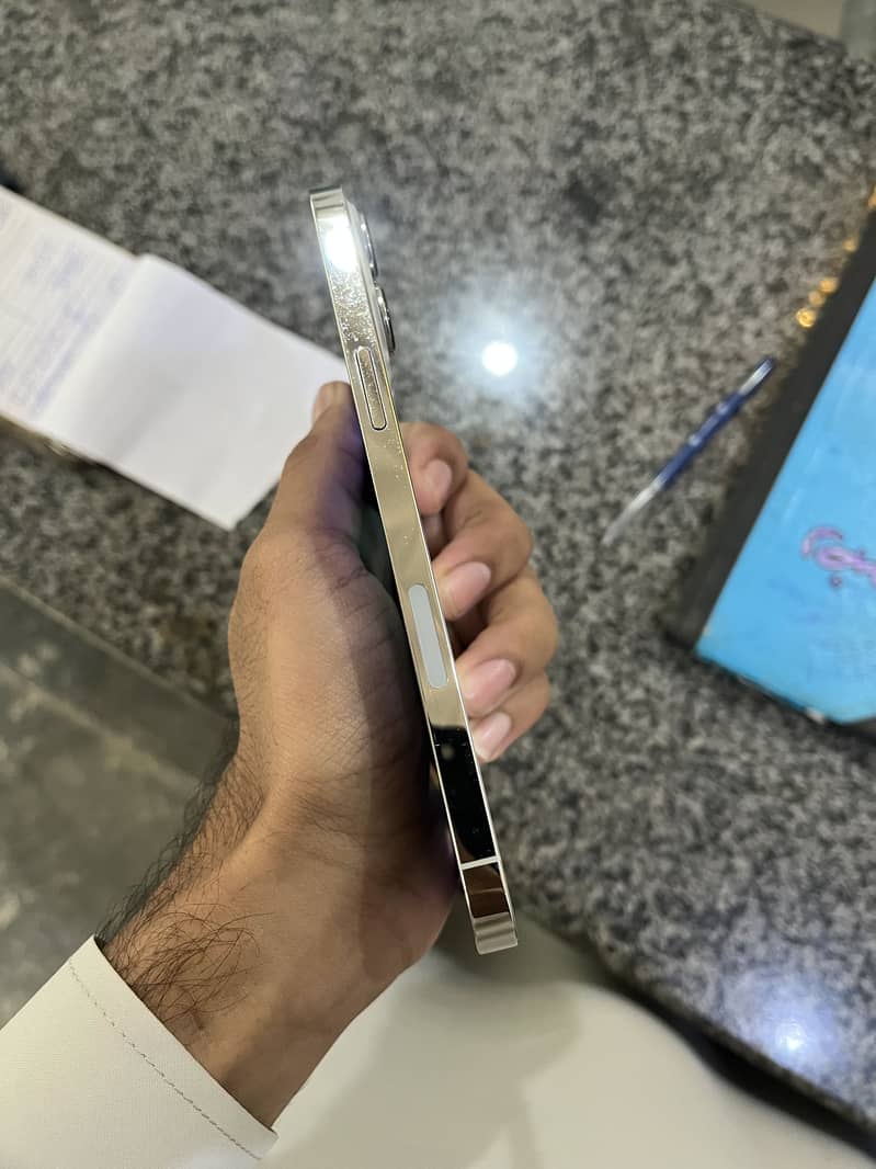 Apple iPhone 13 Pro Max 12