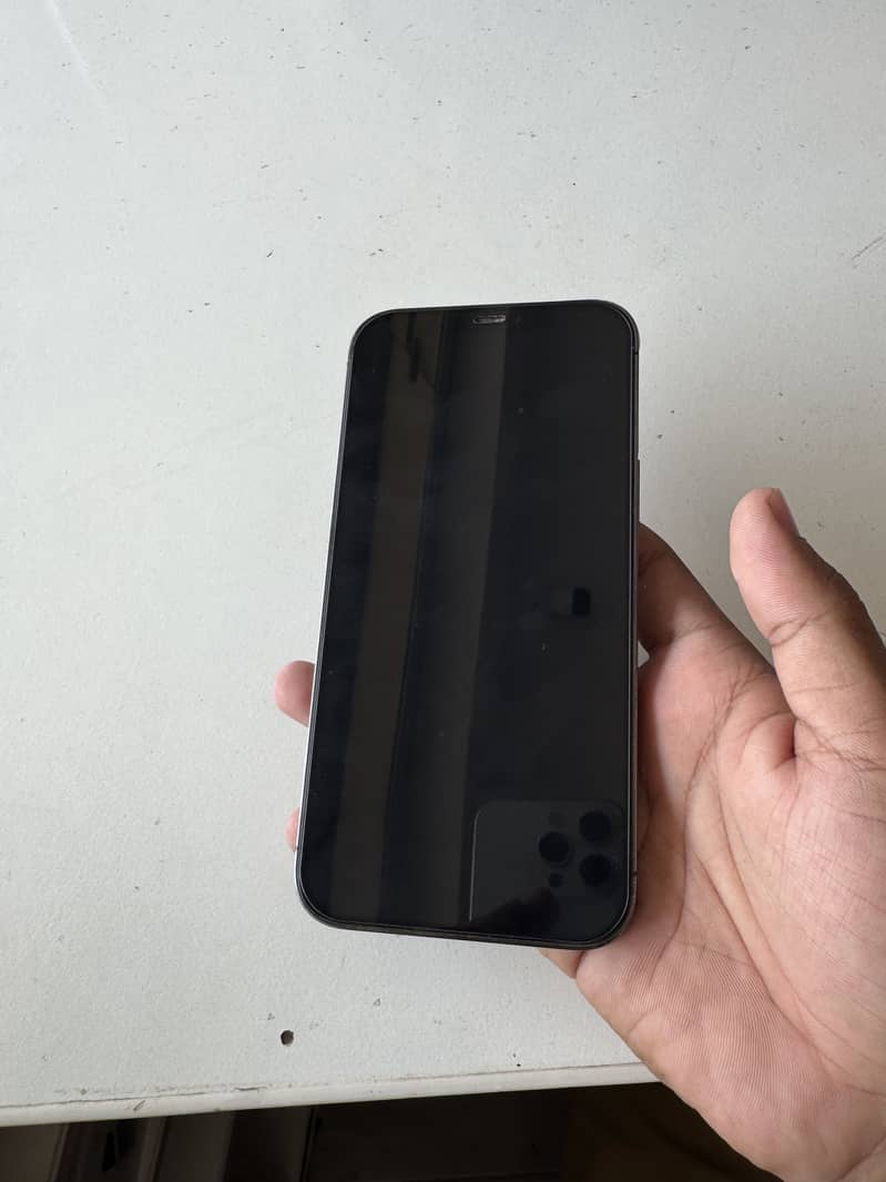 Apple iPhone 12 Pro Max 1