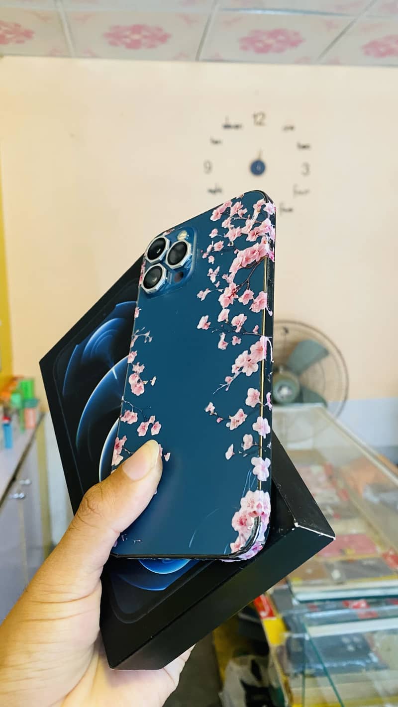 Apple iPhone 12 Pro Max 1