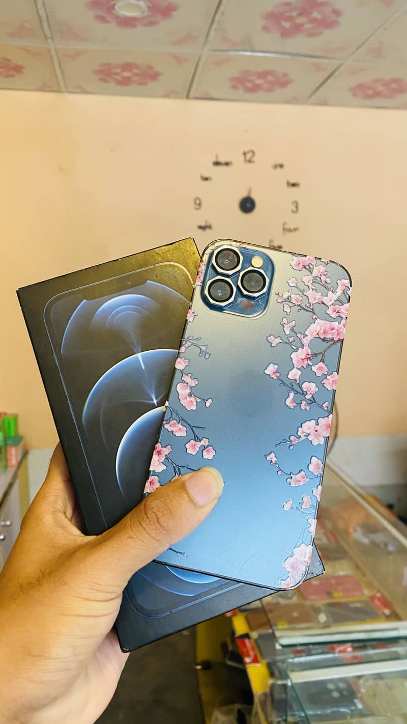 Apple iPhone 12 Pro Max 2