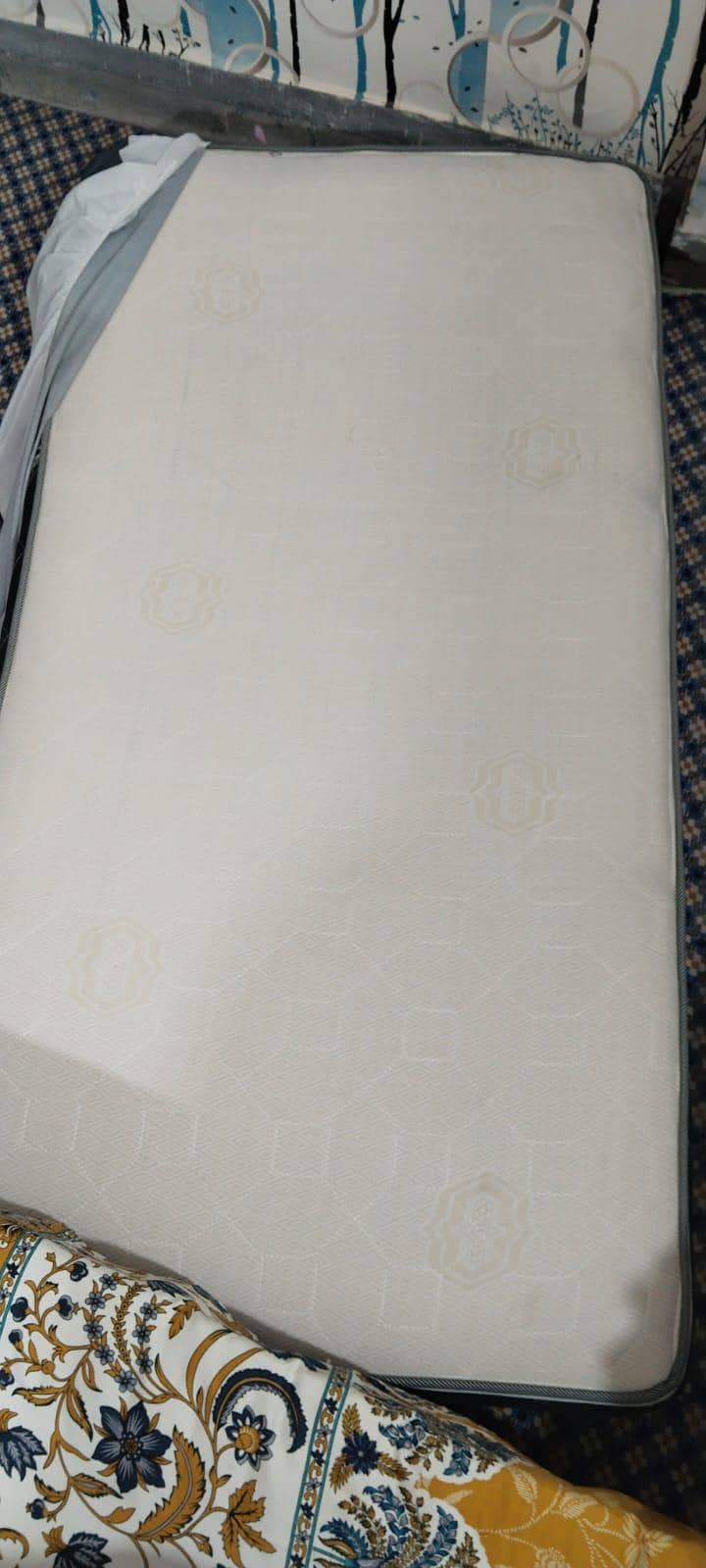 Five Star Foam 2