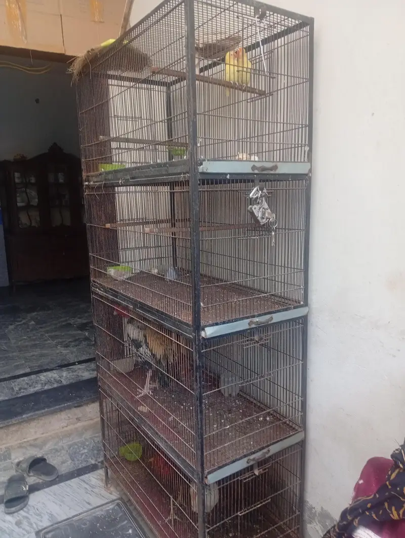 cage for sale — photo 2