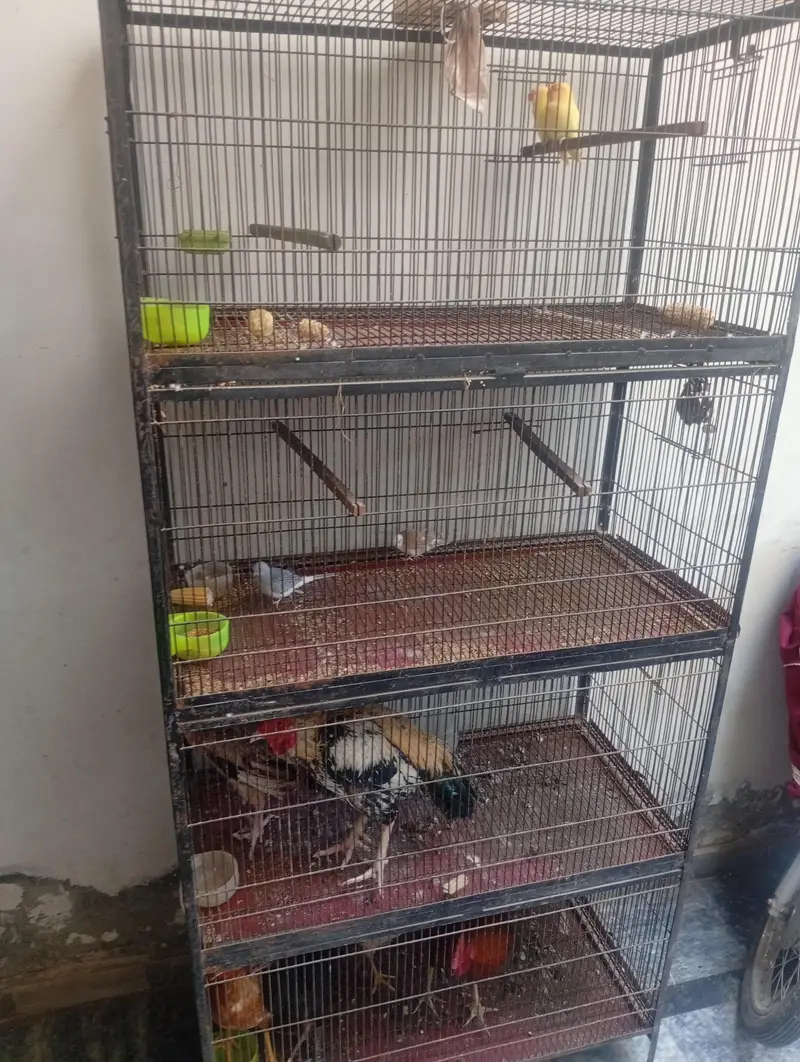 cage for sale — photo 3