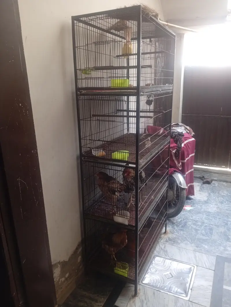 cage for sale — photo 4