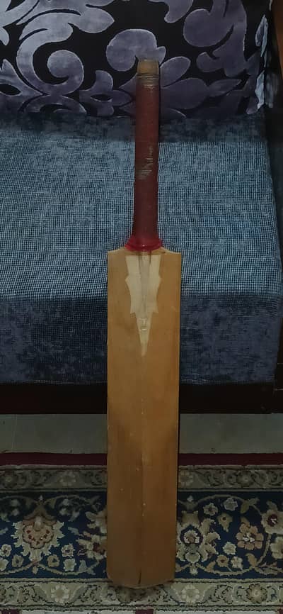 cricket bat for sale