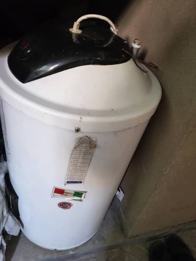 Electric geyser