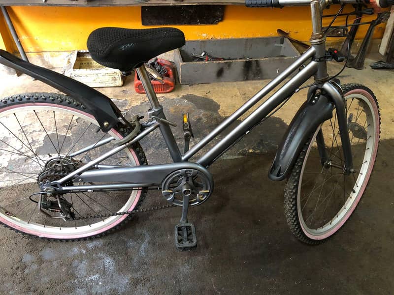 Japani cycle 1