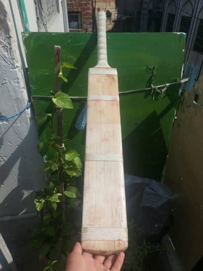ENGLISH WILLOW KNOCKED BAT