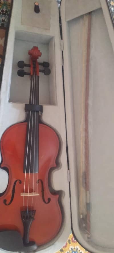 VIOLIN