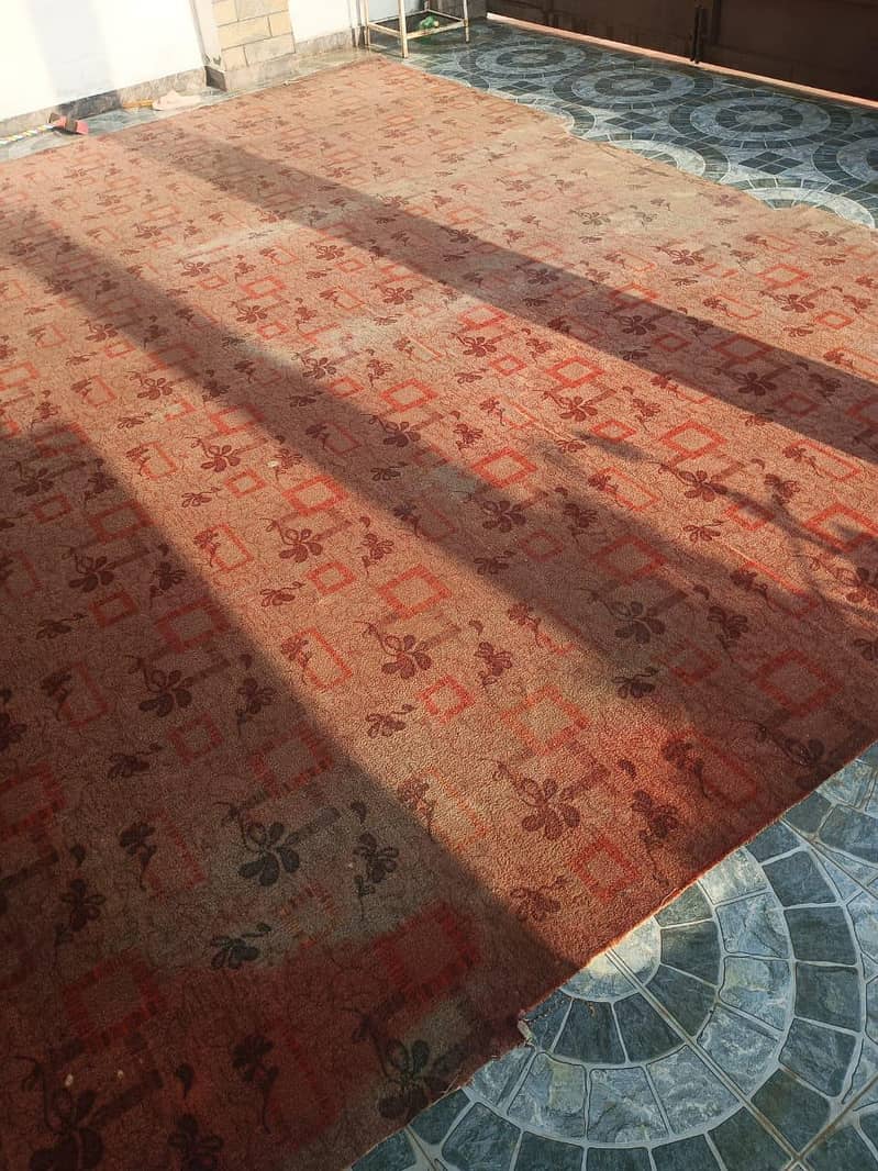 Carpet 1