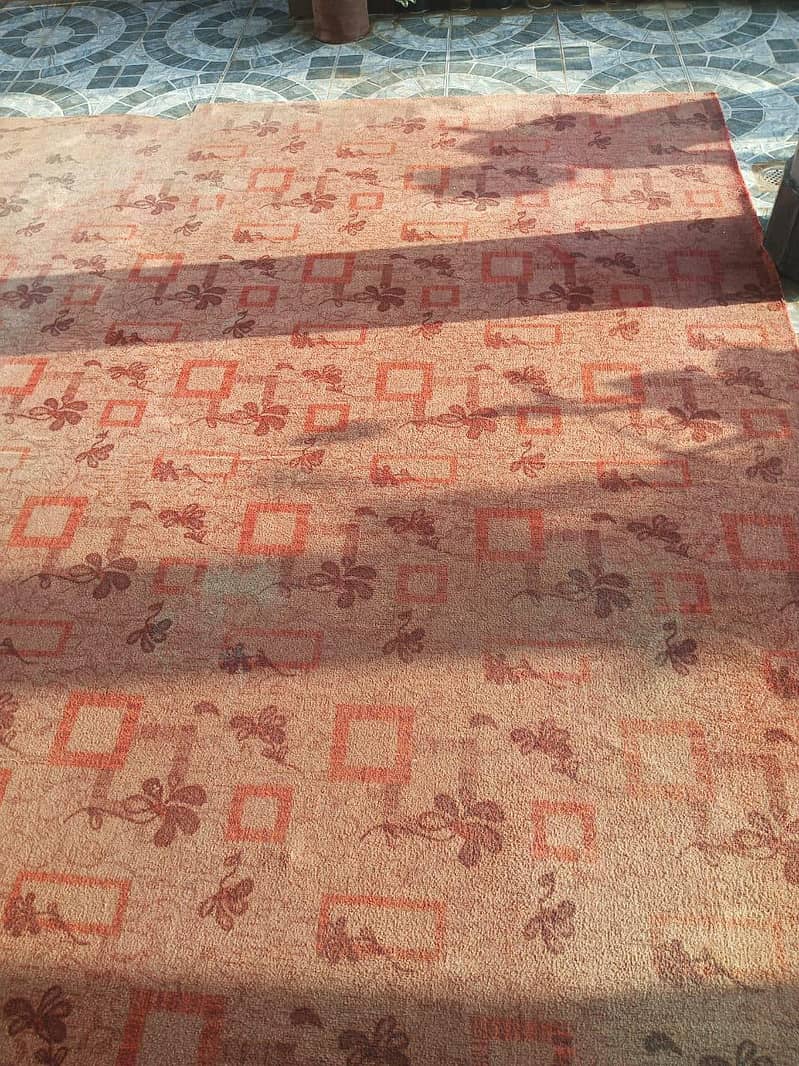 Carpet 2