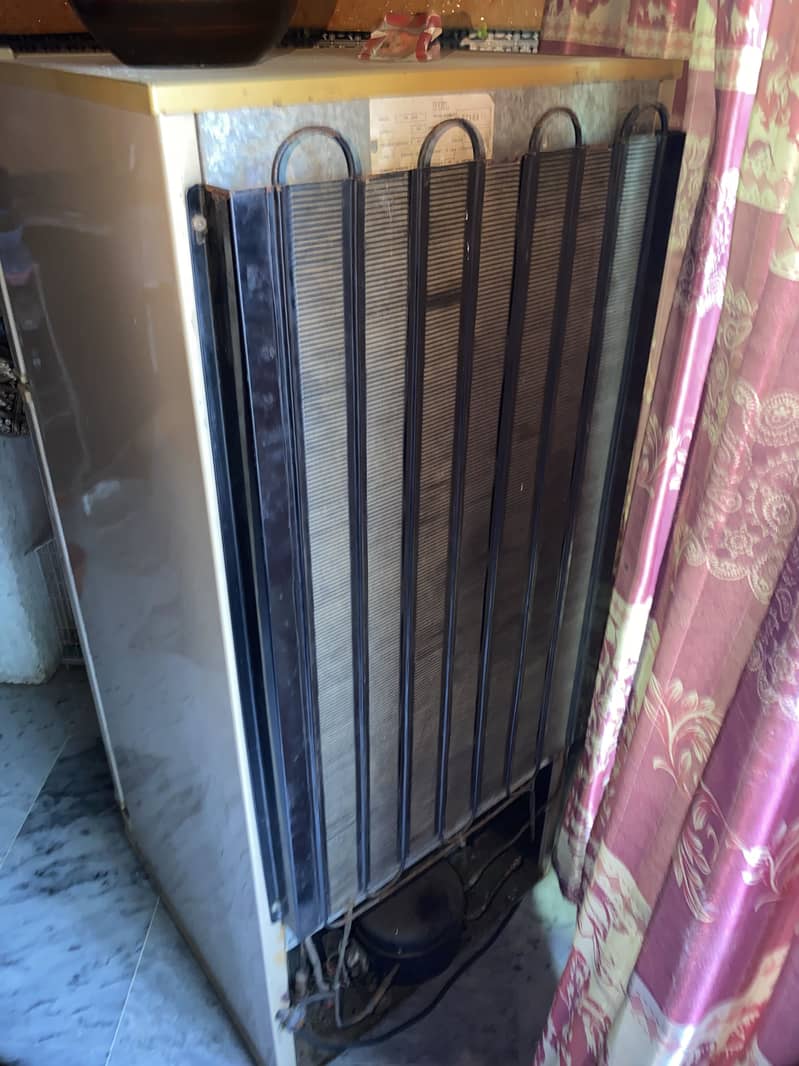 Pell refrigerator 2