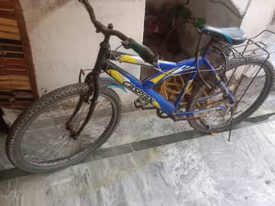 Caspian bicycle