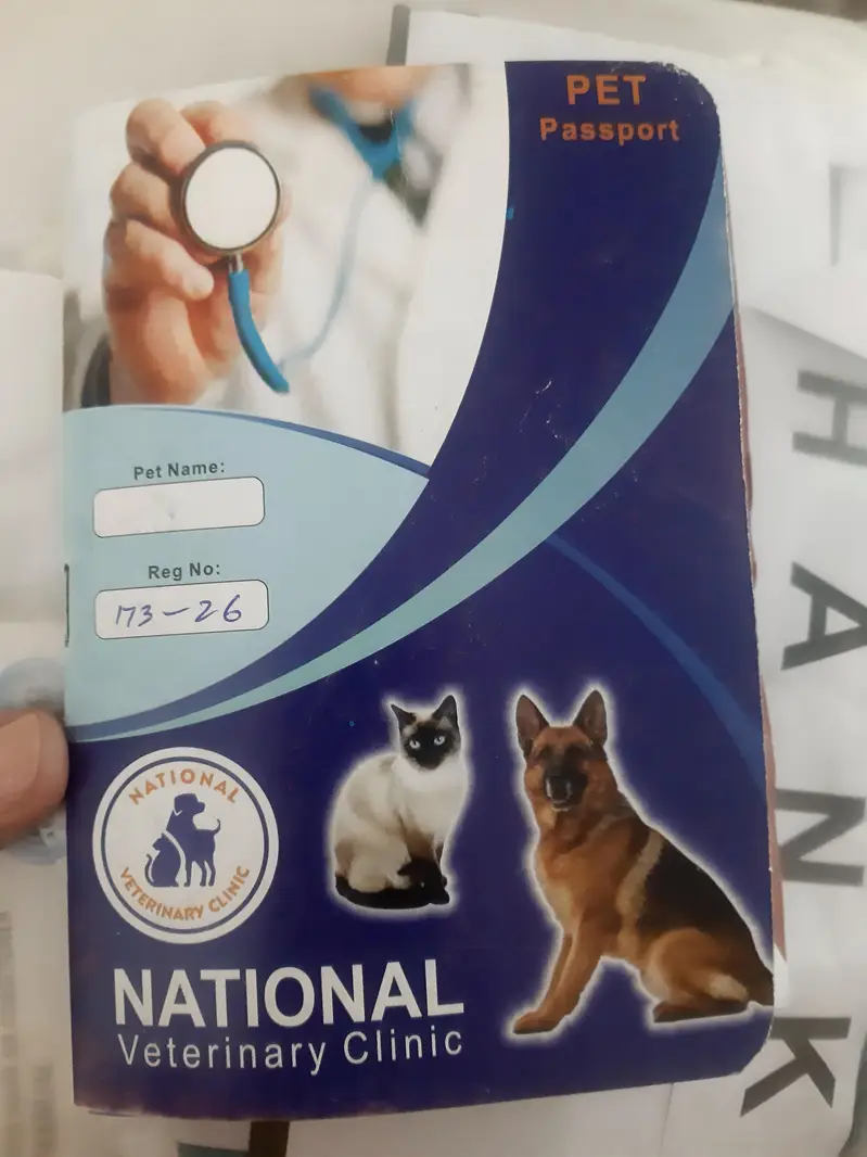 white Persian Cat vaccinated — photo 7
