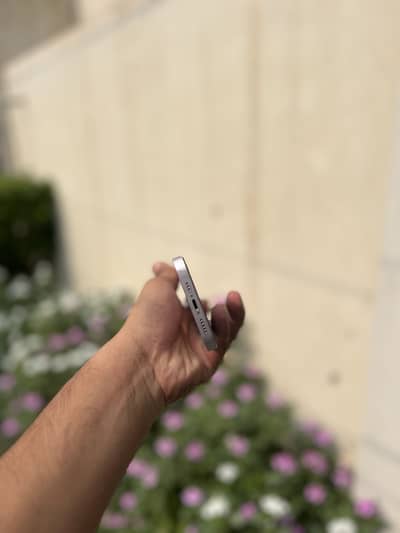 Apple iPhone 14