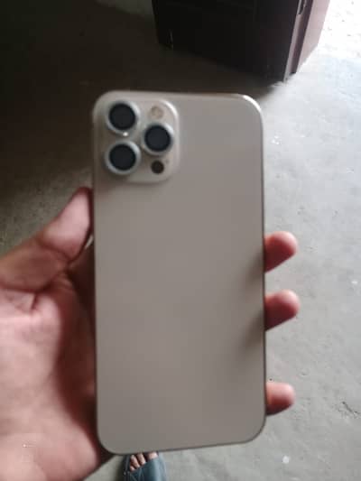 Apple iPhone 12 Pro Max