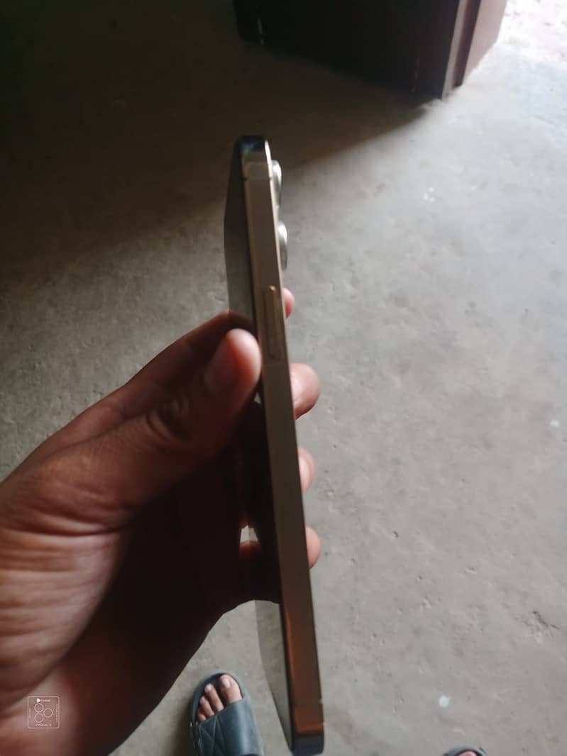 Apple iPhone 12 Pro Max 1