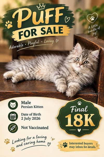 PUFF FOR SALE — FINAL PRICE Rs. 18,000