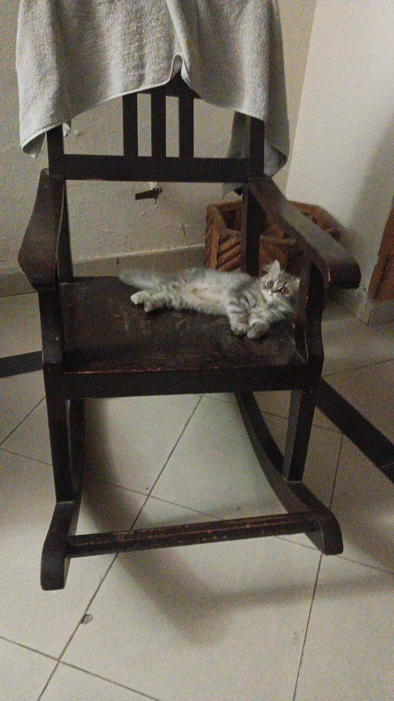 PUFF FOR SALE — FINAL PRICE Rs. 18,000 — photo 2
