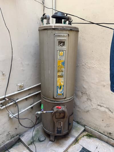 gayser